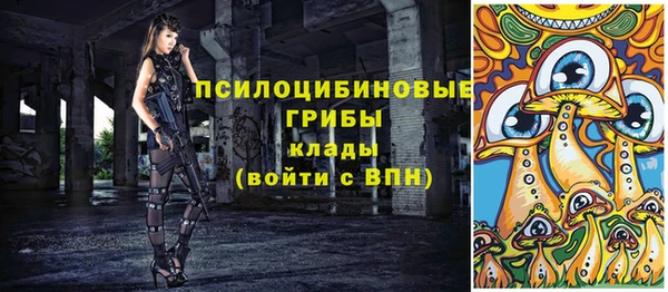 шишки Белоозёрский