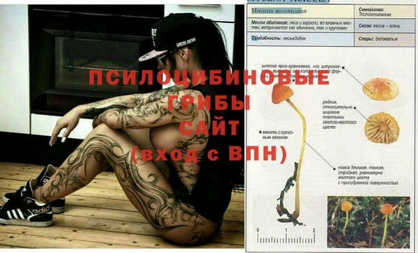 соль ск Белокуриха