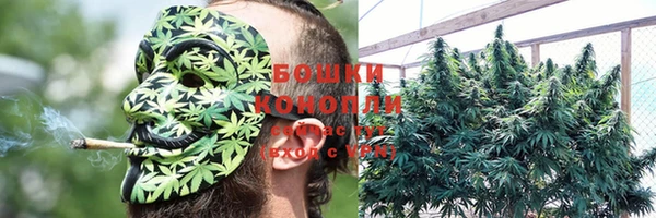 мяу мяу мука Богданович