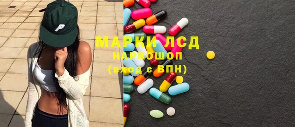 индика Слюдянка