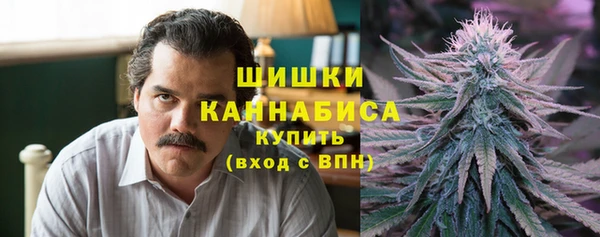 индика Слюдянка