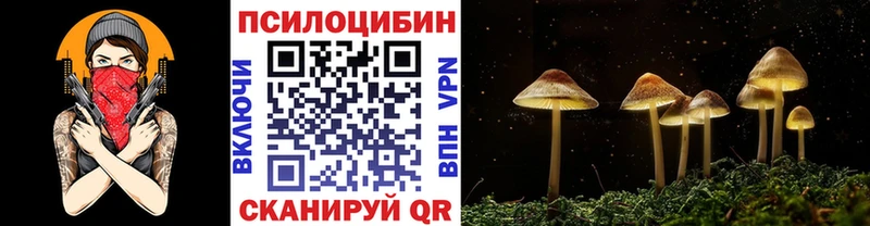 продажа наркотиков  Валдай  Псилоцибиновые грибы ЛСД 